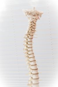 Spinal Cord Injury Lawyer
